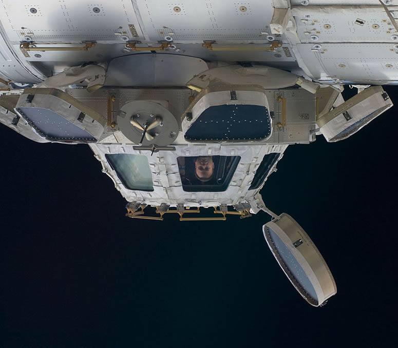 Astronaut Ron Garan in the Cupola