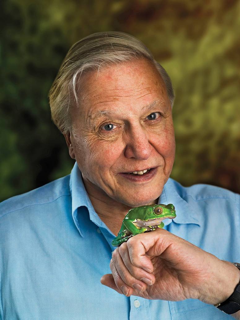 David Attenborough, talking about the video of evolution.