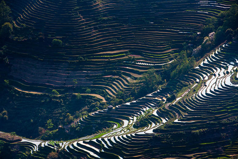 Rows of rice terraces in Honghe Hani