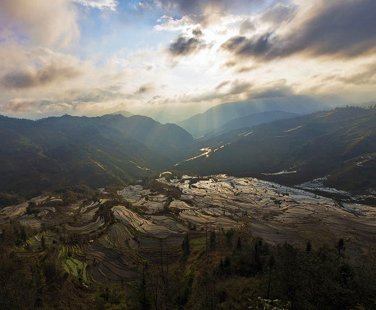 Honghe Hani rice terraces