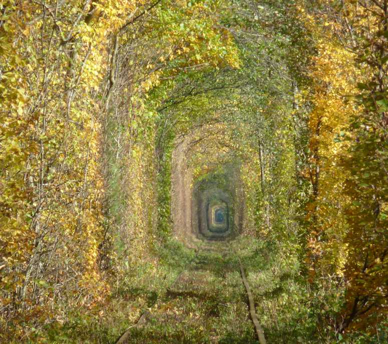 The Tunnel Of Love in Ukraine in autumn leaves