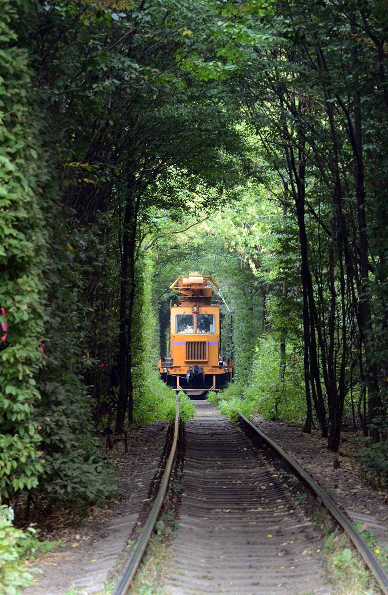 A train i the Tunnel of Love in Ukraina