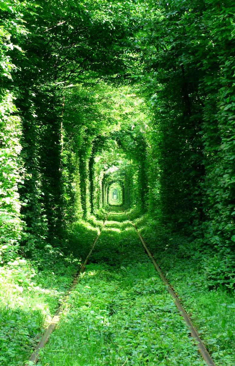 The Tunnel Of Love in Ukraine